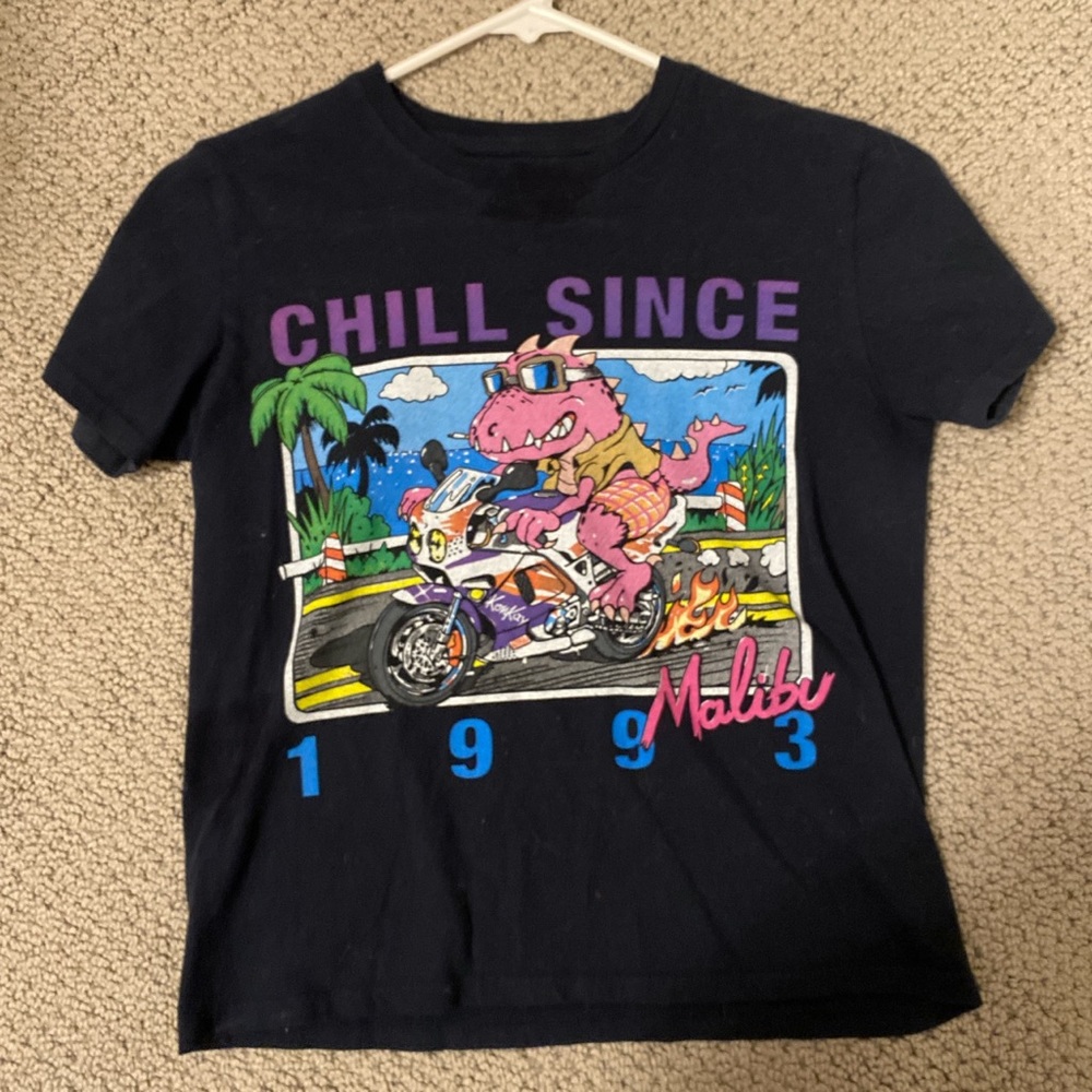 Brandy Melville chill since 1993 Malibu top